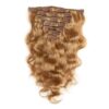 20inch Color 27 Honey Blonde Clip In Virgin Remy Real Hair Extensions  Bodywave