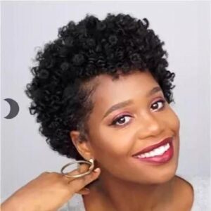 Ladies Short Wigs Women's Short Roll Brown African Small Roll