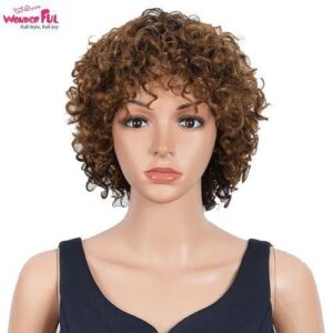 Wonderful Short Afro Kinky Curly Wigs Wigs For Black Women 100% Remy Short Wigs Full Machine Made Wigs