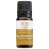 Aromaland Frankincense Essential Oil 10ml (Boswellia Carterii)